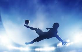 必一运动bsport体育 健与美室内健身